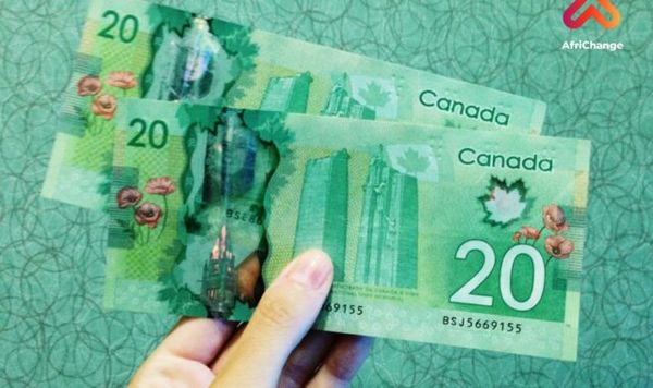 Send Money Internationally: How to Transfer Money From Canada With Ease